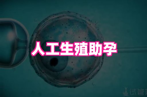123试管孕网 4